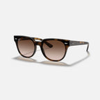 BLAZE METEOR 4368N