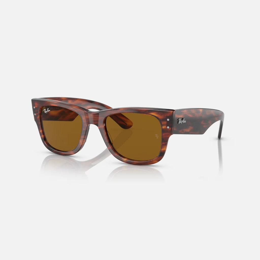 MEGA WAYFARER 0840S